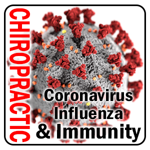 Defense Against the Coronavirus and Influenza
